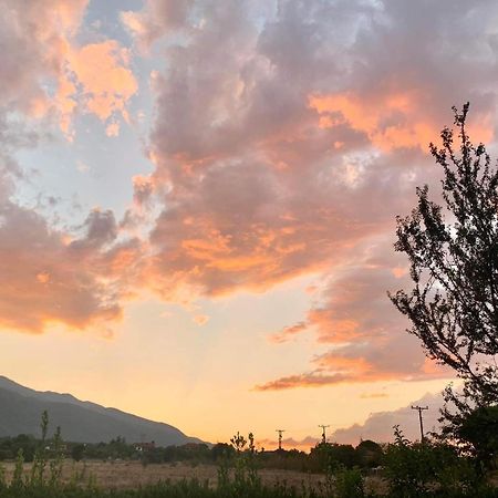 Οlives And Vines All Seasons Villa Litochoro Exterior foto