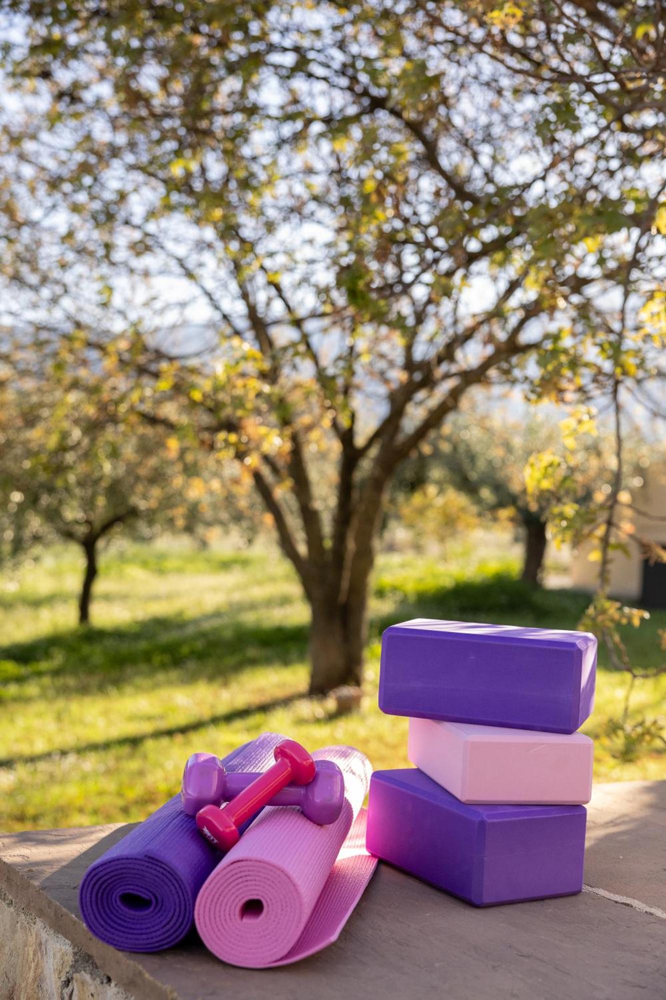 Οlives And Vines All Seasons Villa Litochoro Exterior foto
