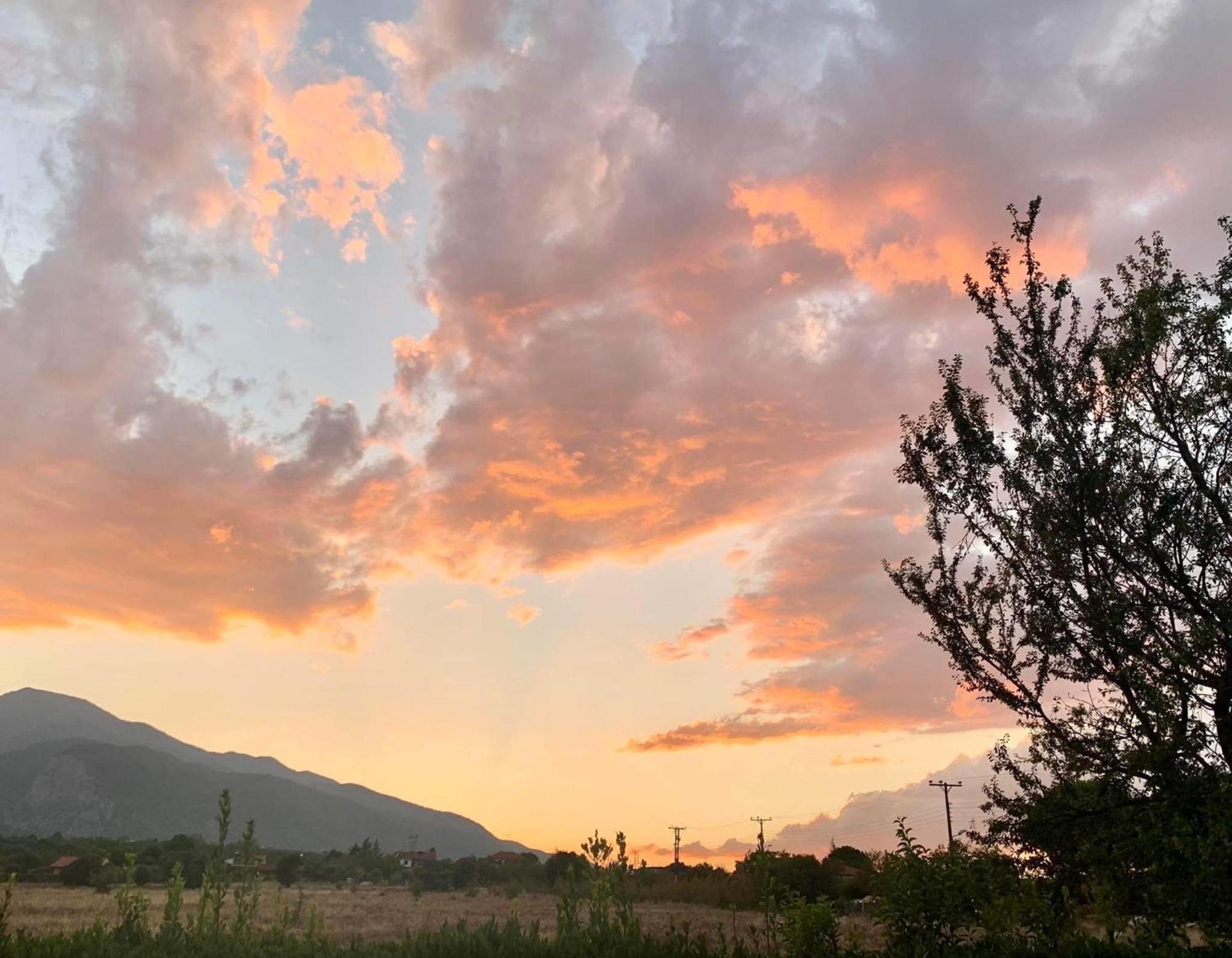 Οlives And Vines All Seasons Villa Litochoro Exterior foto